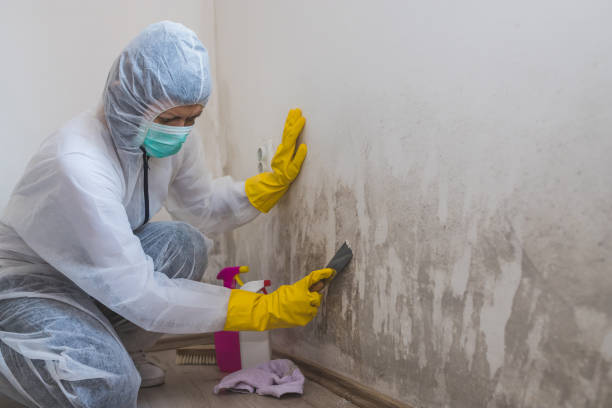 Best Residential Mold Remediation in Liberty, TX