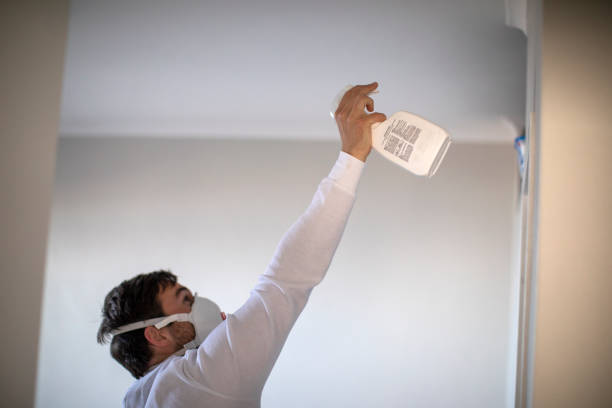 Best White Mold Remediation in Liberty, TX