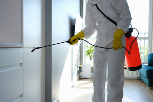 Best Industrial Mold Remediation in Liberty, TX