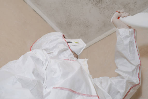 Best Localized Mold Remediation (e.g., coastal areas, humid climates) in Liberty, TX