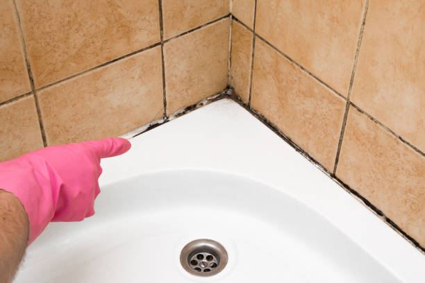 Best Insurance-Related Mold Remediation in Liberty, TX